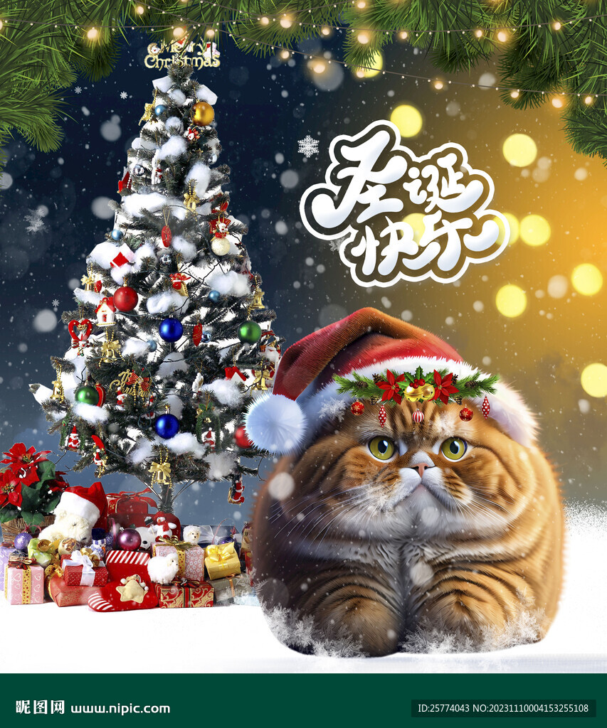 圣诞猫