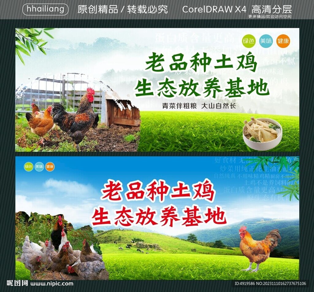 老品种土鸡 生态放养基地