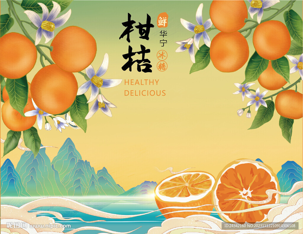 柑桔插画