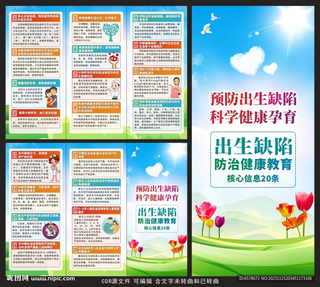 预防出生缺陷三折页