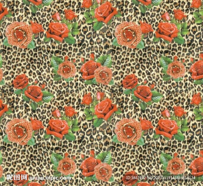 玫瑰豹纹印花