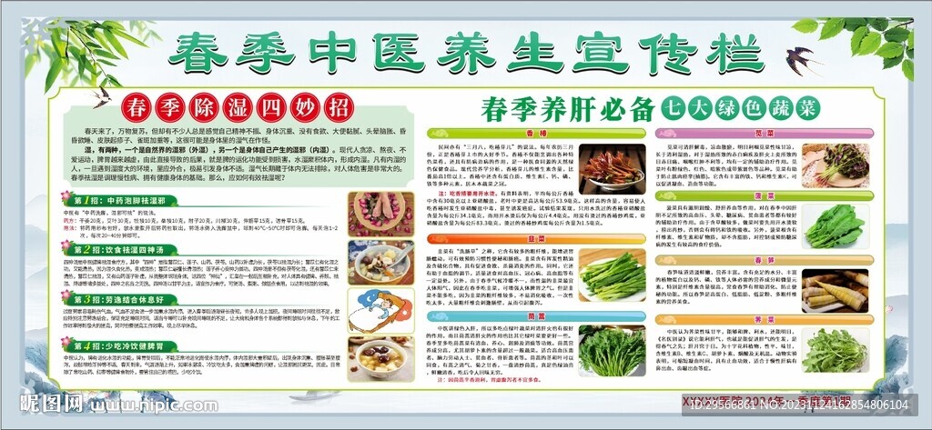 春季中医养生宣传栏养生知识展板