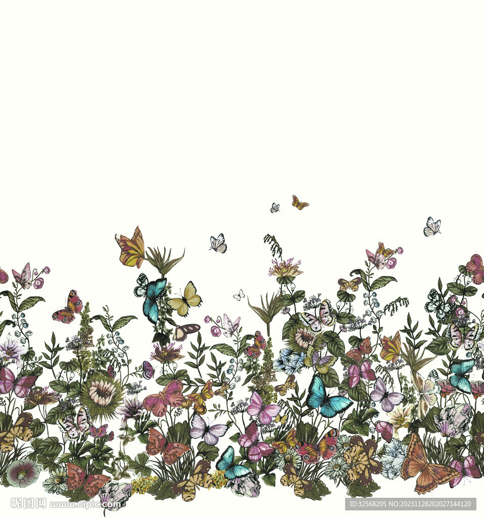 定位花 蝴蝶 图片