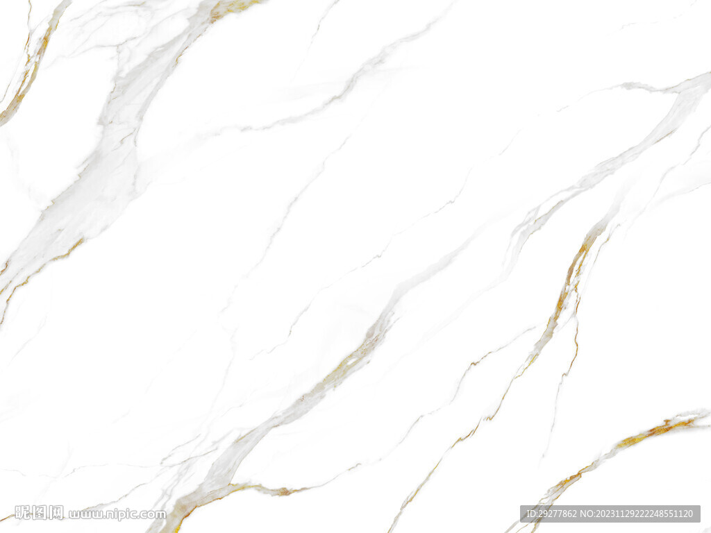 高雅 最新爵士白画 TIf合层