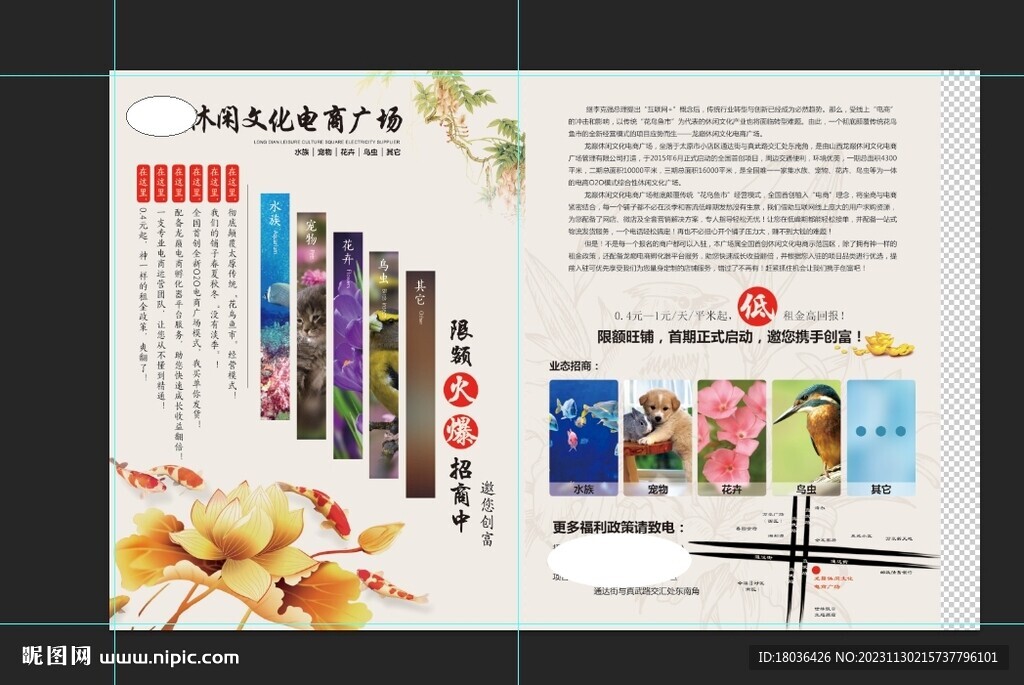 花鸟鱼虫产品单页宣传单DM单