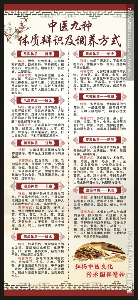 中医九种体质辨识X展架