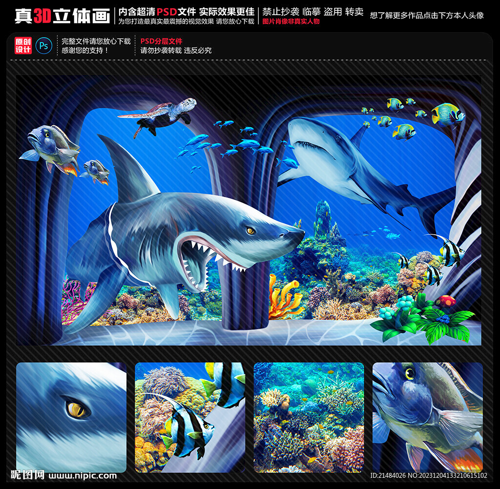 鲨鱼立体画