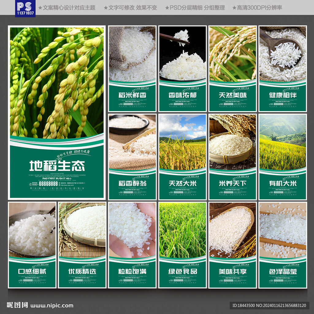 大米海报
