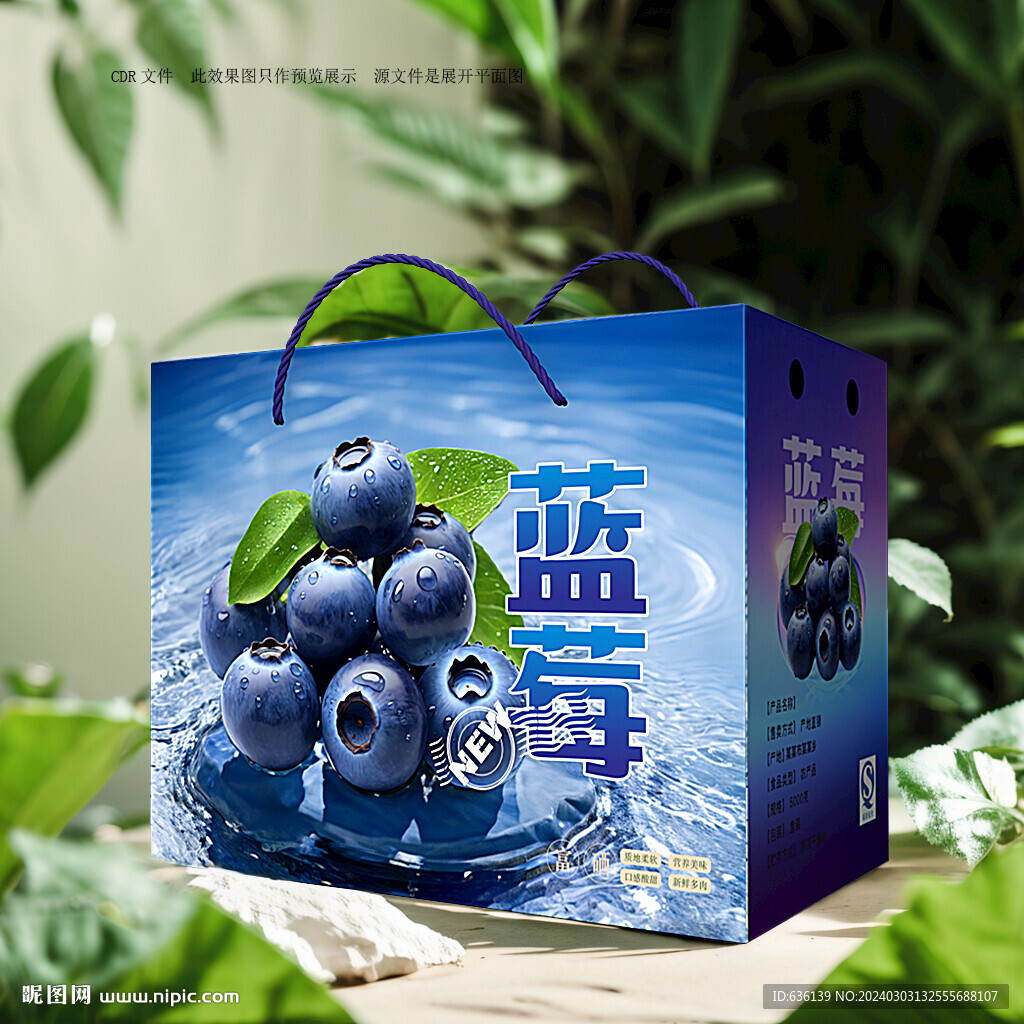 蓝莓礼盒