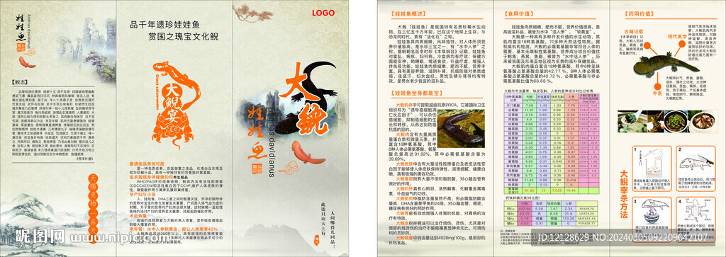 娃娃鱼 大鲵三折页