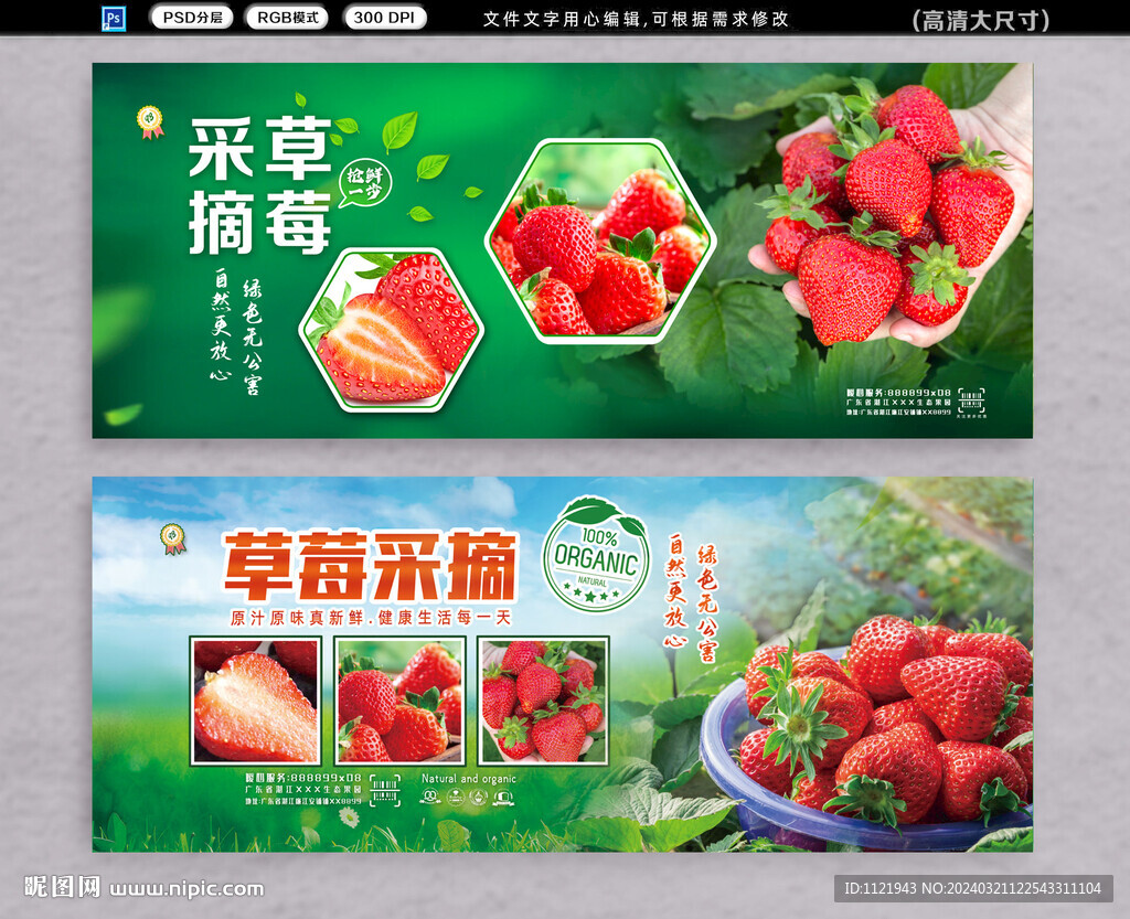 草莓采摘展板