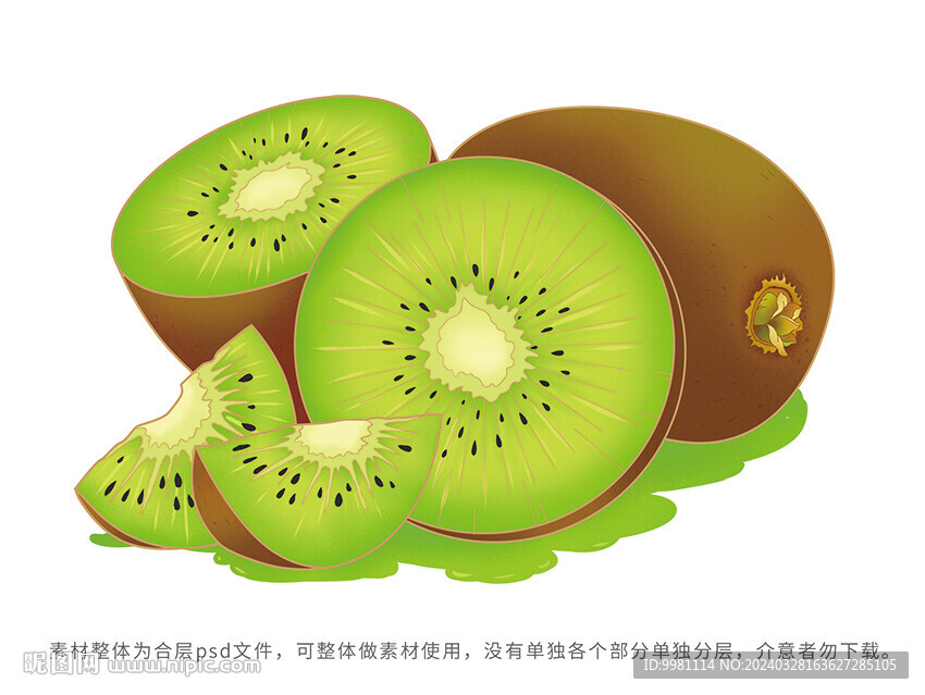 国风猕猴桃插画