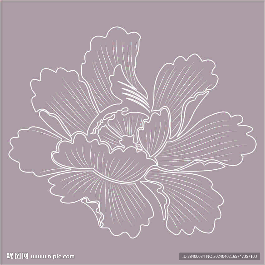 牡丹 可改图  花朵