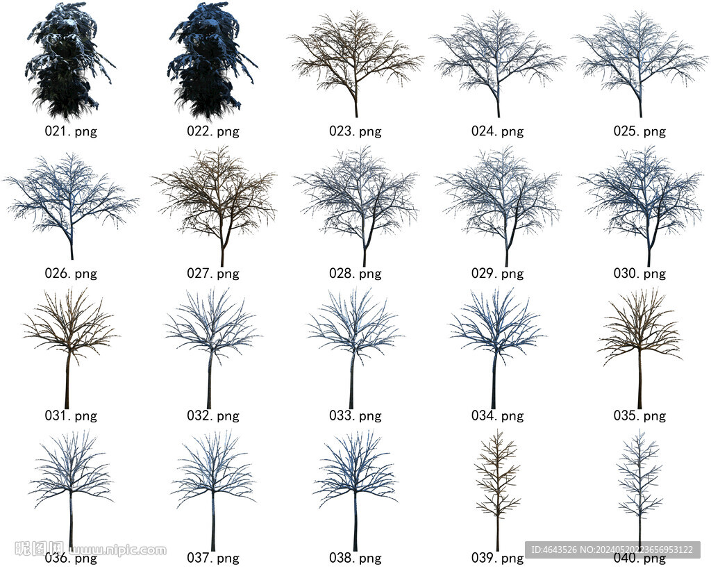 免扣高清景观树常用乔木贴图素材