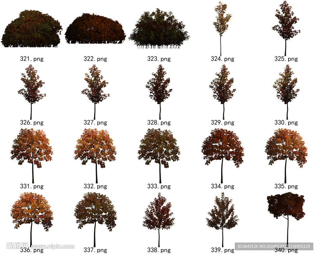 免扣高清景观树常用乔木贴图素材