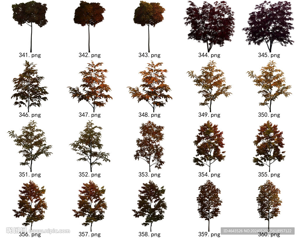 免扣高清景观树常用乔木贴图素材