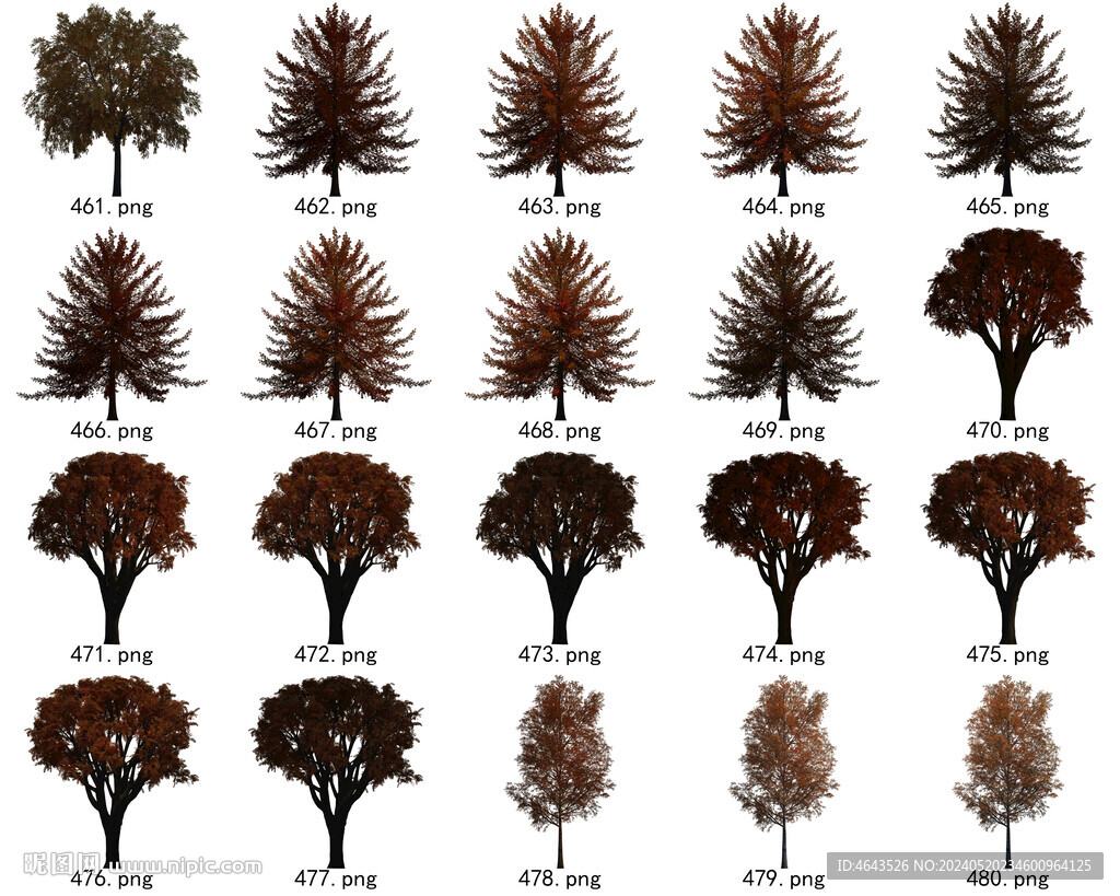 免扣高清景观树常用乔木贴图素材