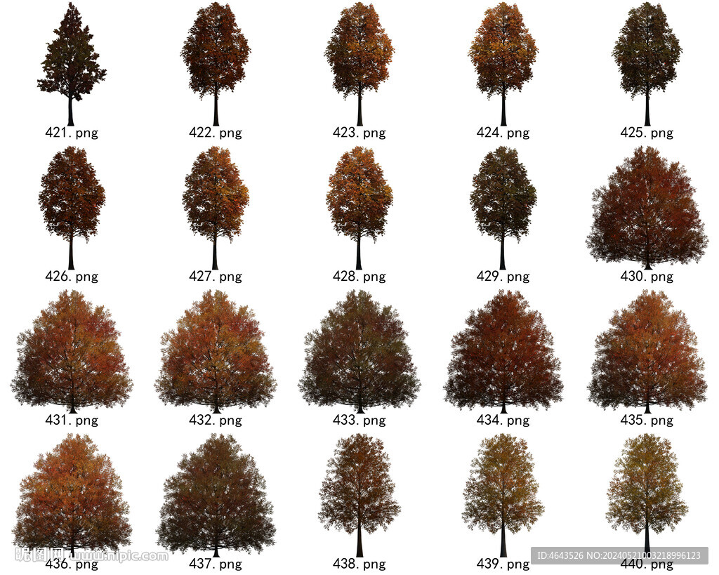 免扣高清景观树常用乔木贴图素材