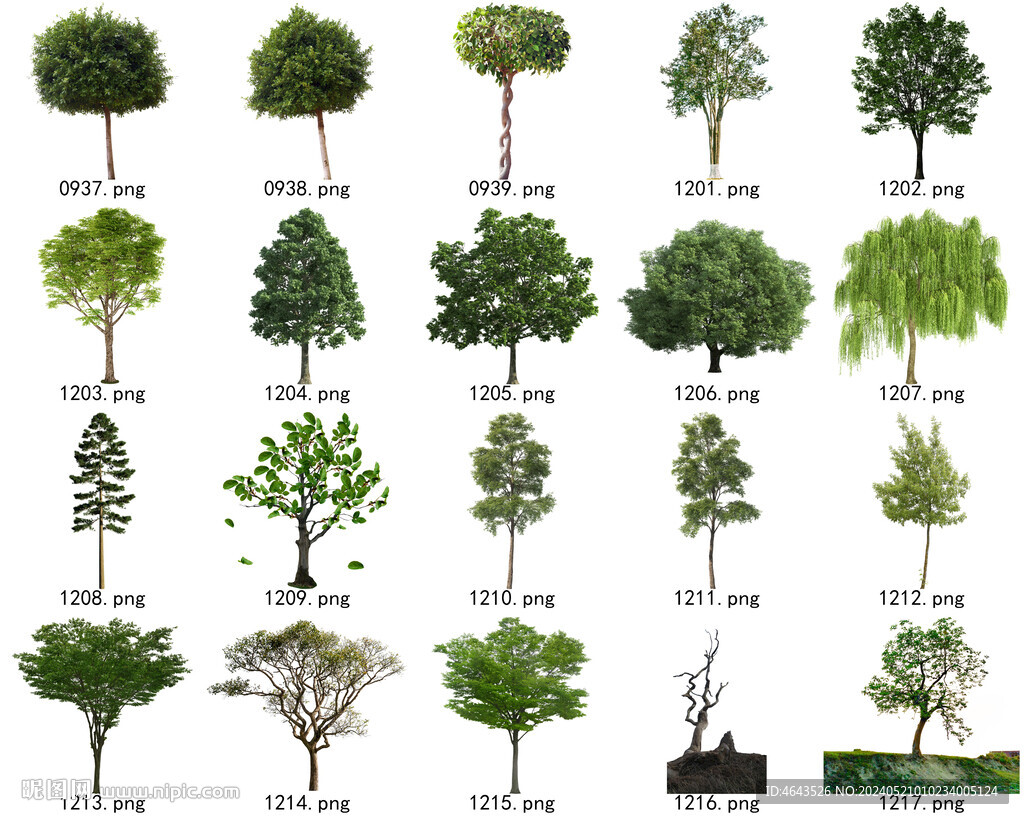 免扣高清景观树常用乔木贴图素材