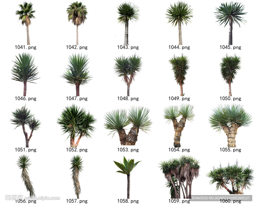 免扣高清景观树常用乔木贴图素材