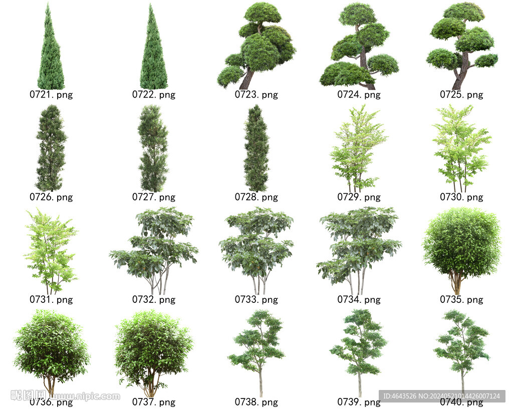 免扣高清景观树常用乔木贴图素材