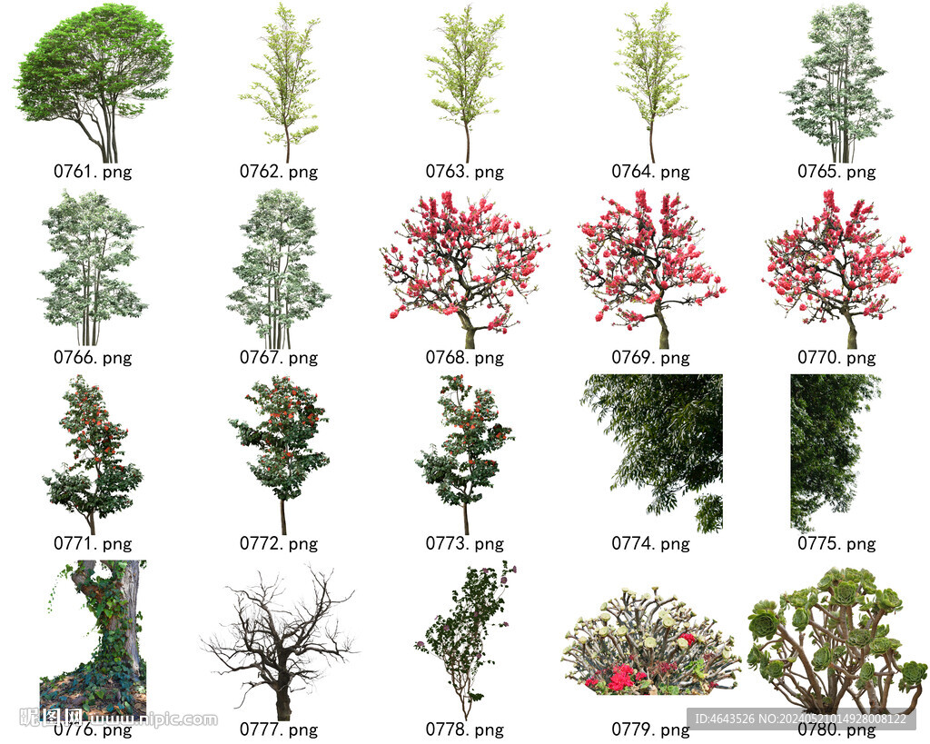 免扣高清景观树常用乔木贴图素材