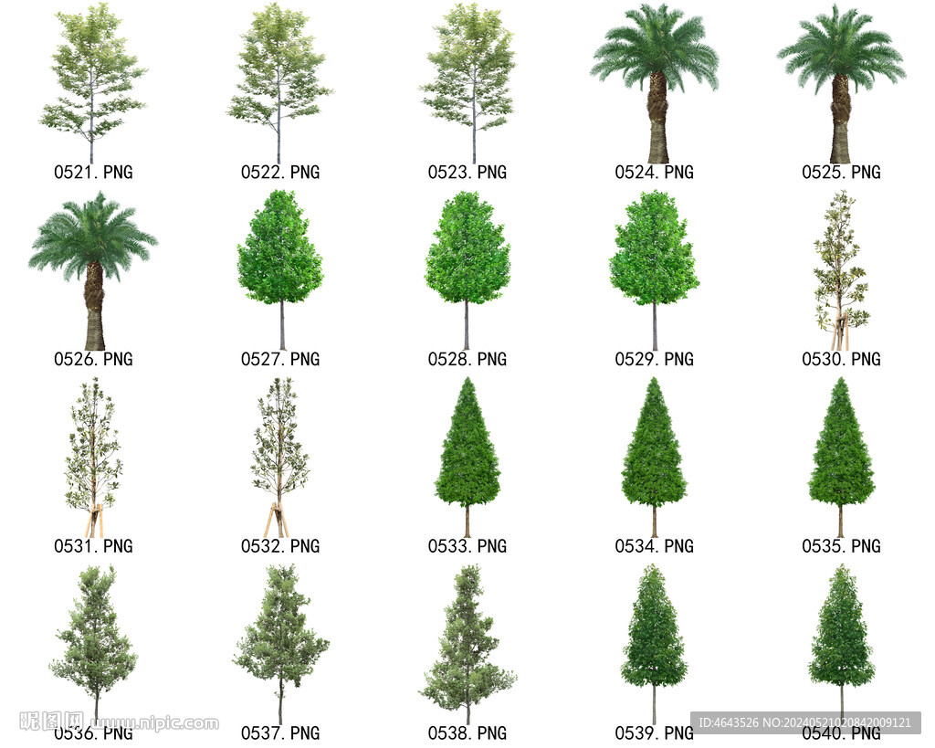 免扣高清景观树常用乔木贴图素材