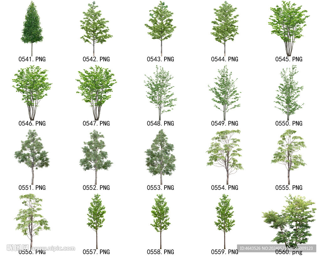 免扣高清景观树常用乔木贴图素材