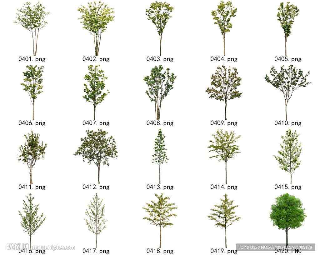 免扣高清景观树常用乔木贴图素材