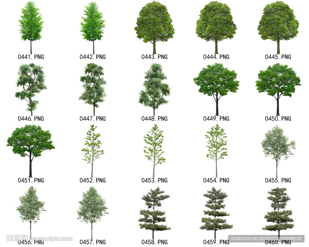 免扣高清景观树常用乔木贴图素材