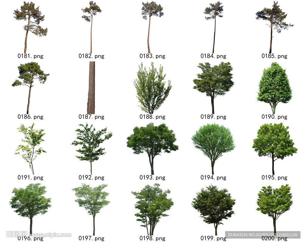 免扣高清景观树常用乔木贴图素材