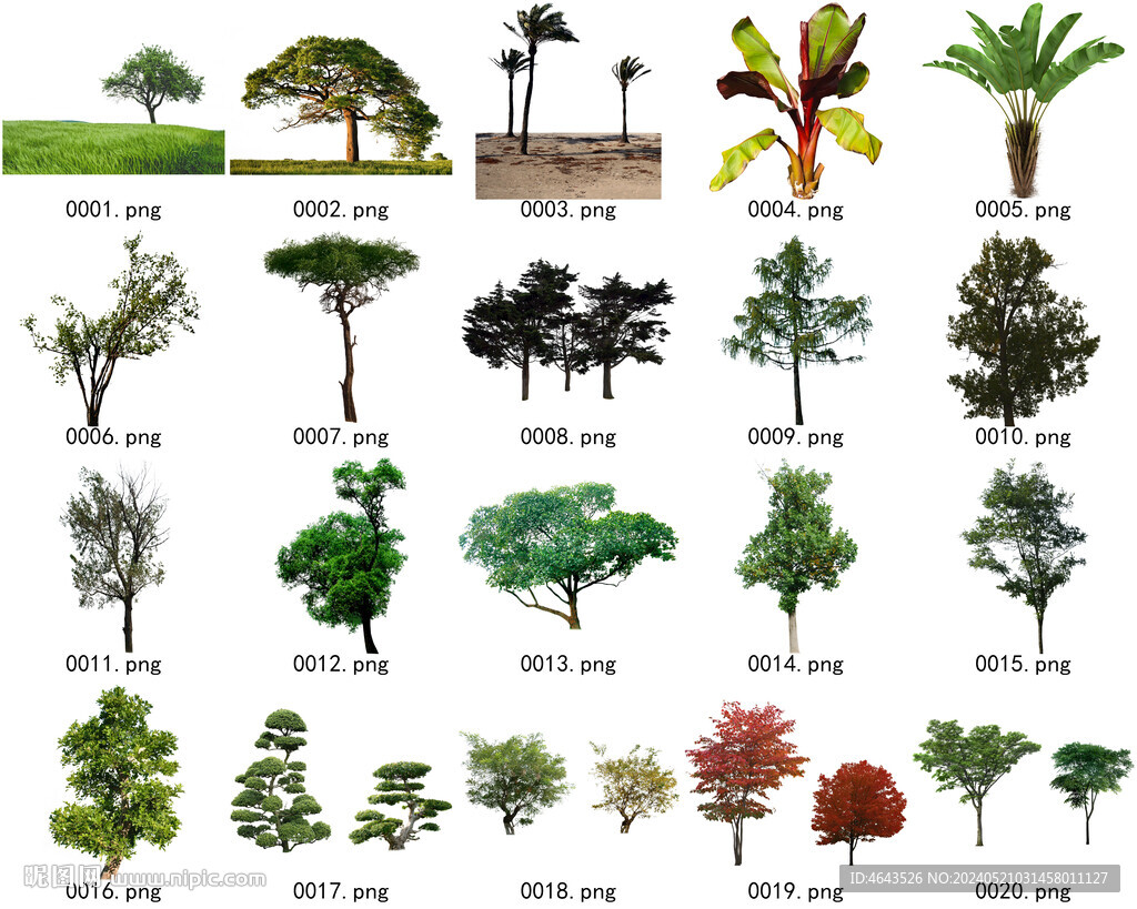 免扣高清景观树常用乔木贴图素材