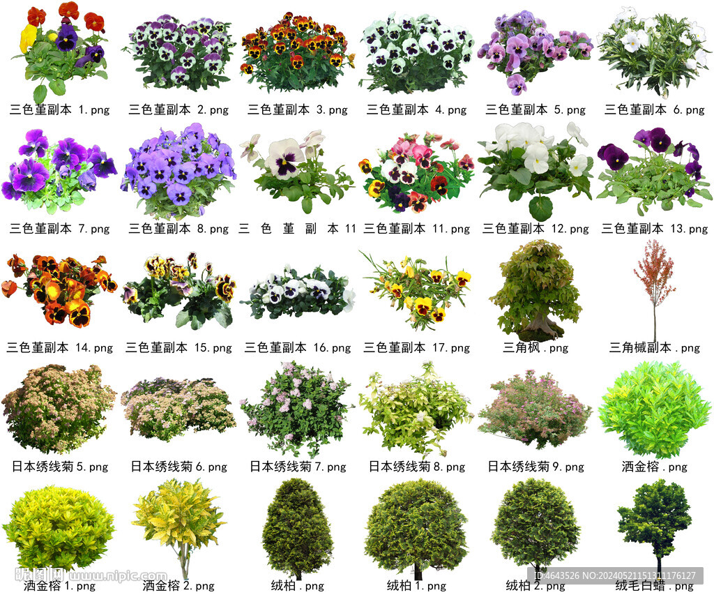 高清树木花卉绿植免抠贴图素材 