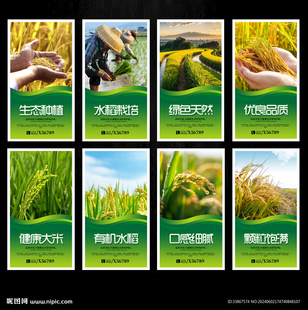 水稻海报