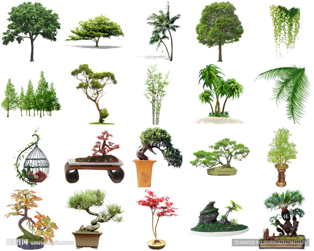 高清树木花卉绿植免抠贴图   