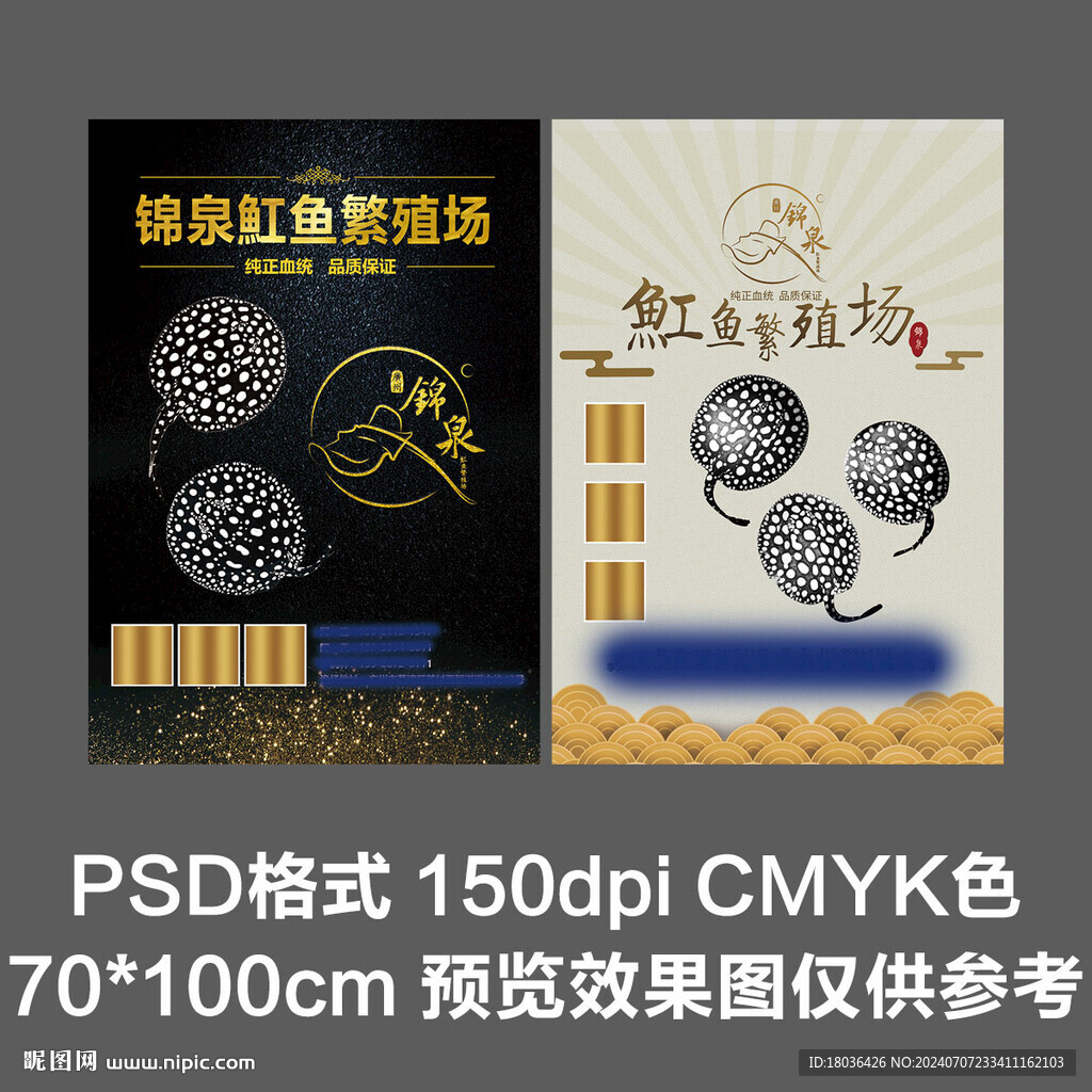 水族观赏鱼黑白魟鱼海报展板