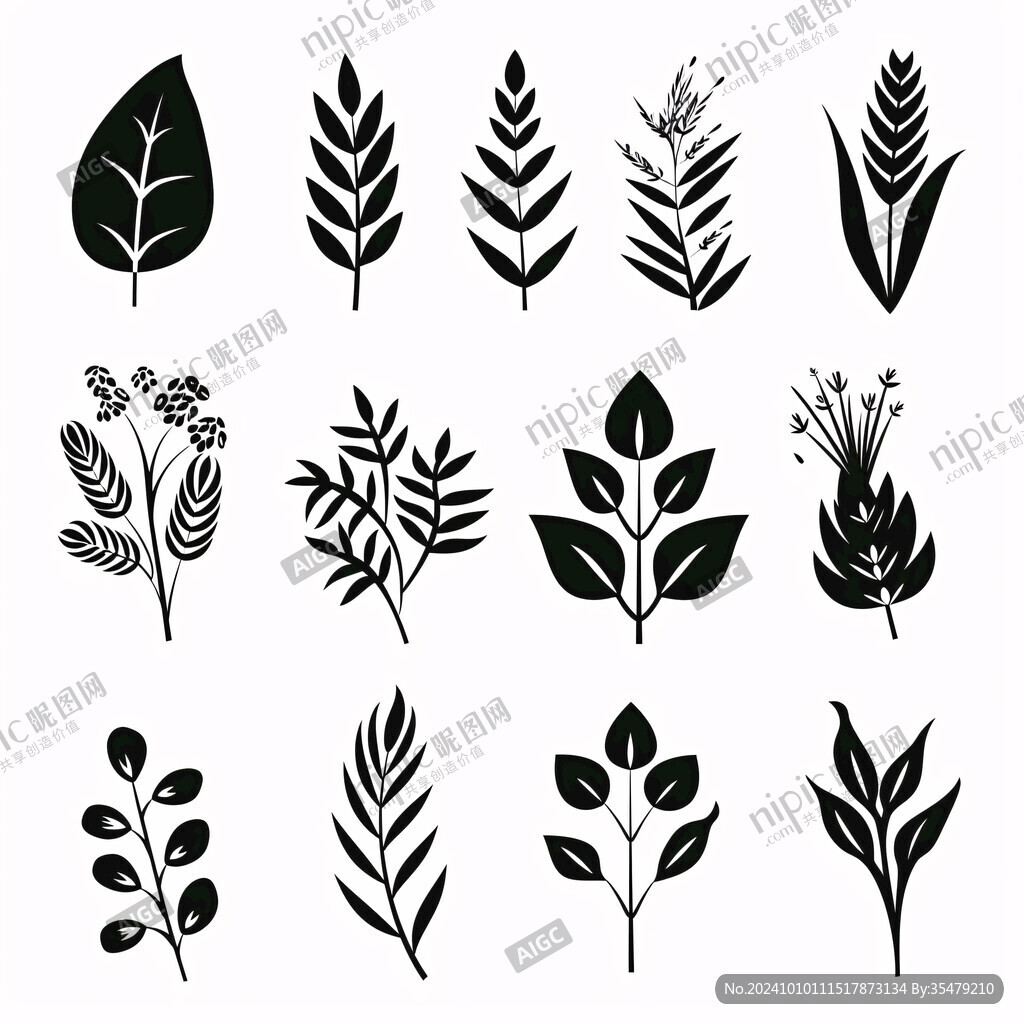 手绘素材植物叶子