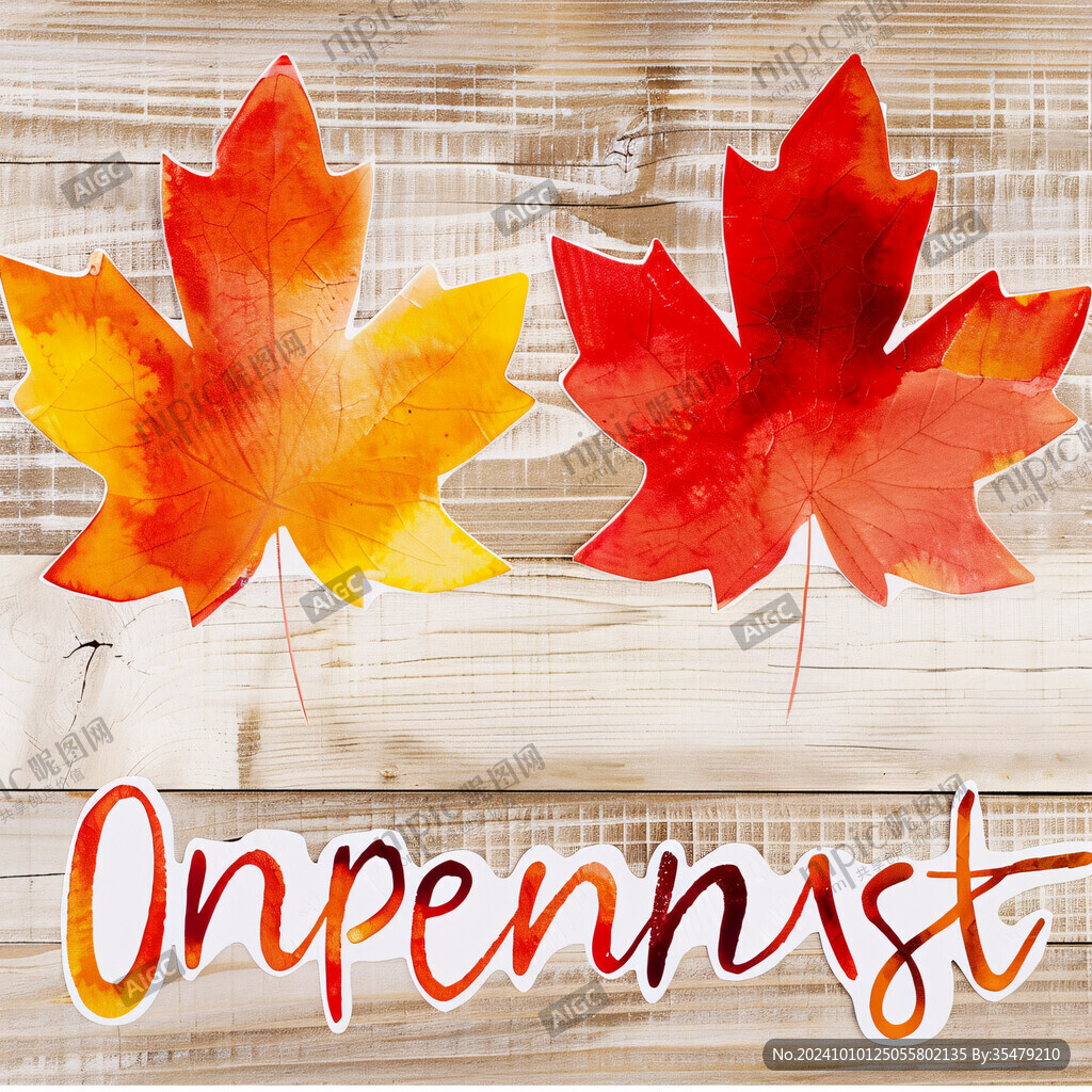 水彩枫叶无框画