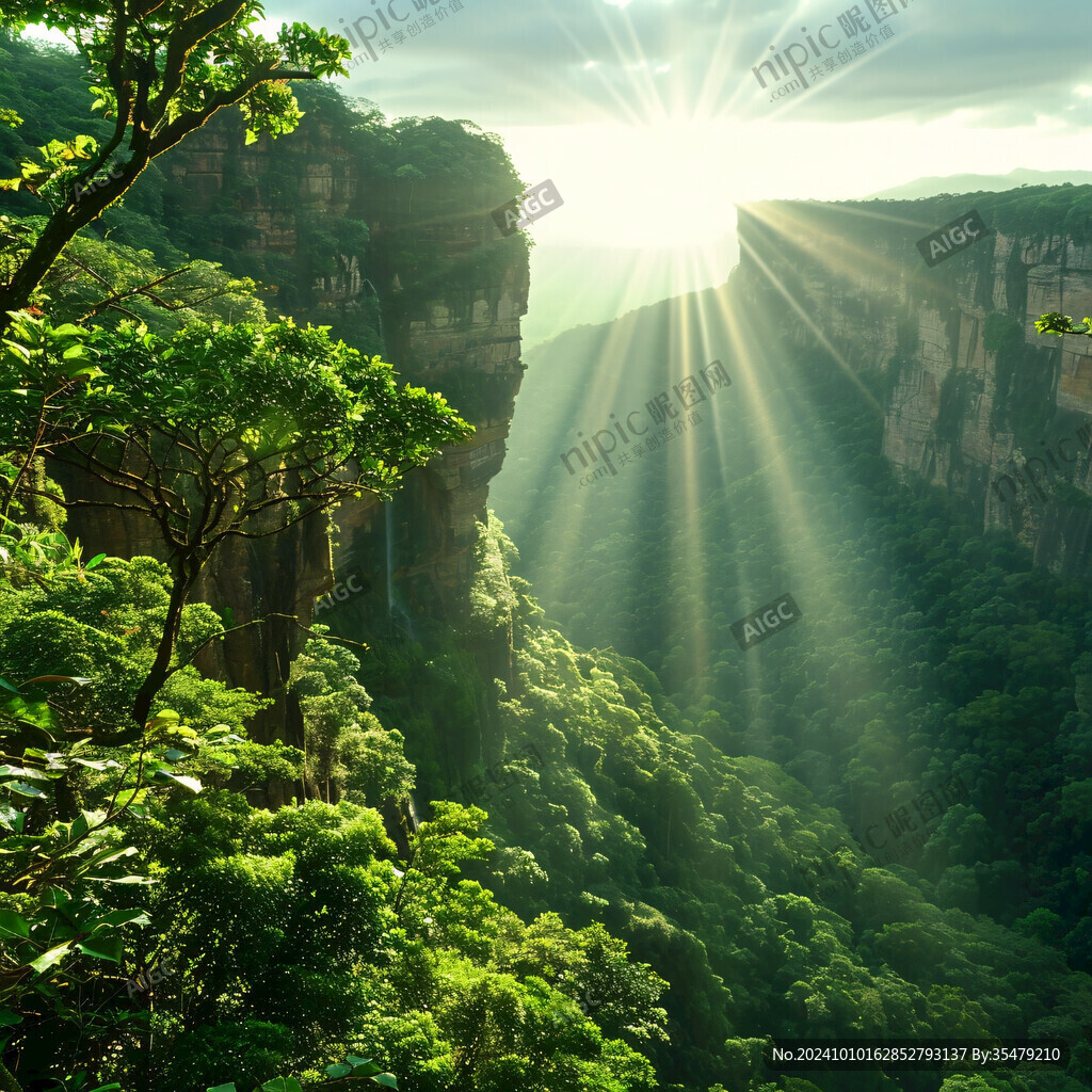 自然风景阳光光线