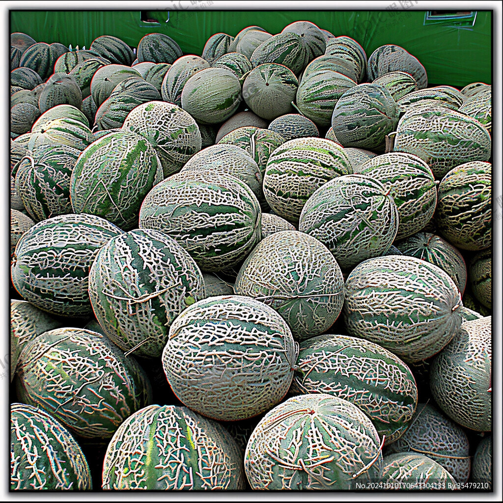 网纹蜜瓜陈列