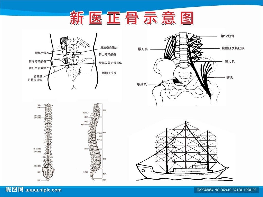 新医正骨图