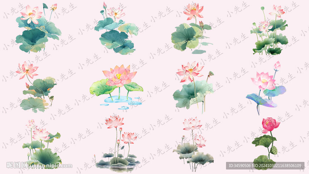 国潮荷花荷叶莲花莲叶插画素材