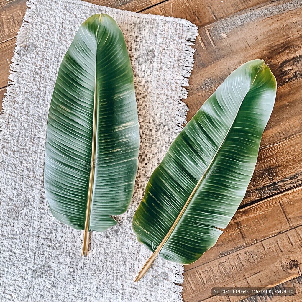 北欧风芭蕉叶