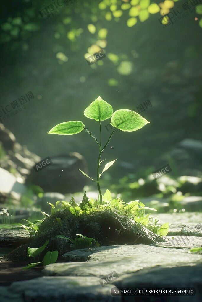 生命绿色植物发芽