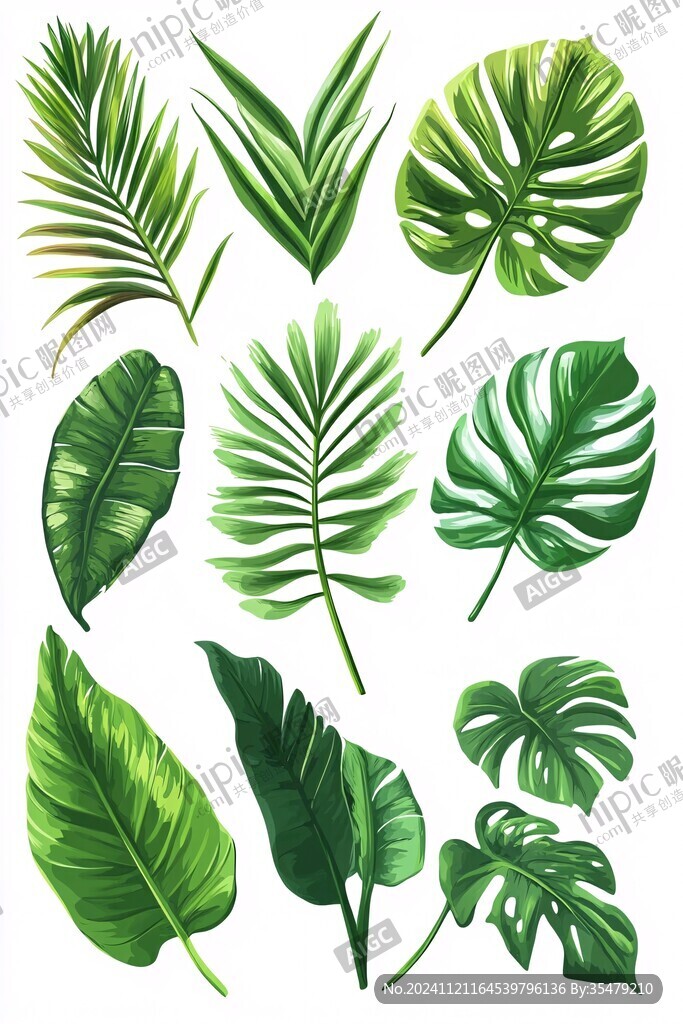 北欧风芭蕉叶