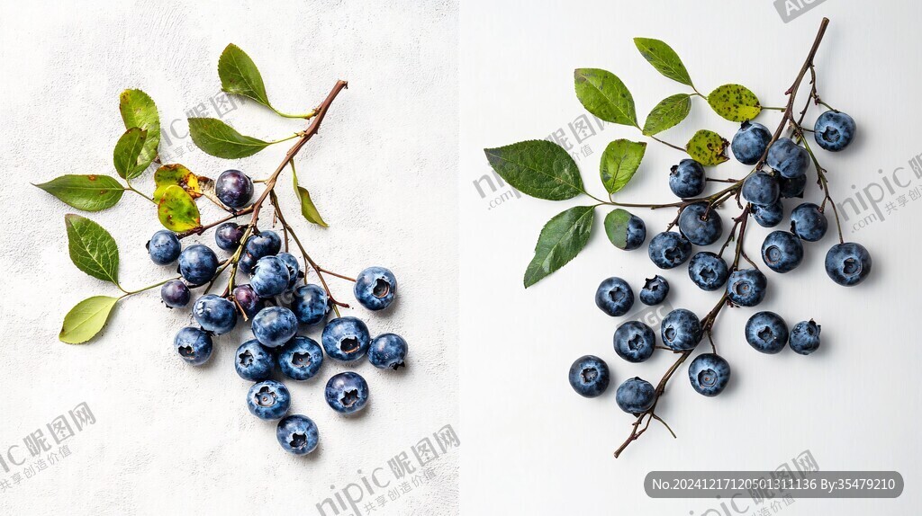 装饰画蓝莓