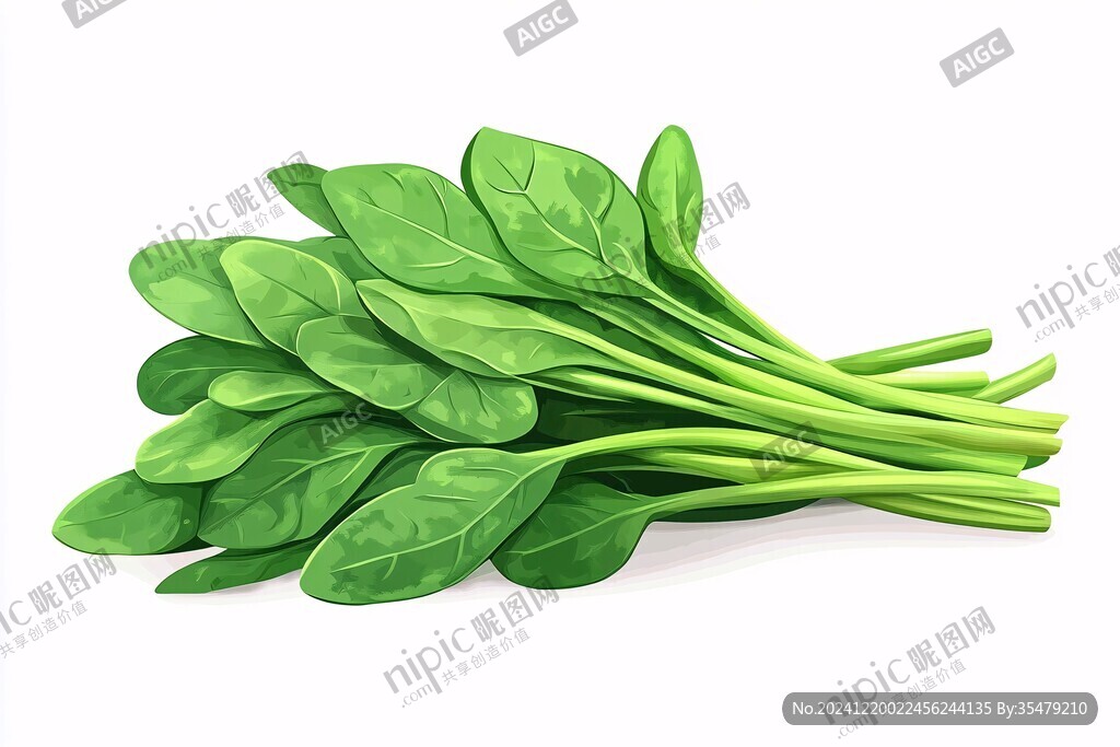 菠菜图片素材