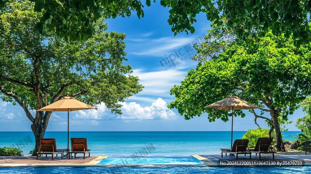 泳池树五星级游泳池