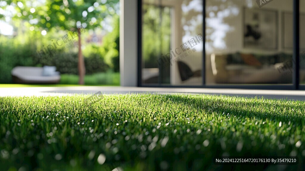 前景聚焦草坪
