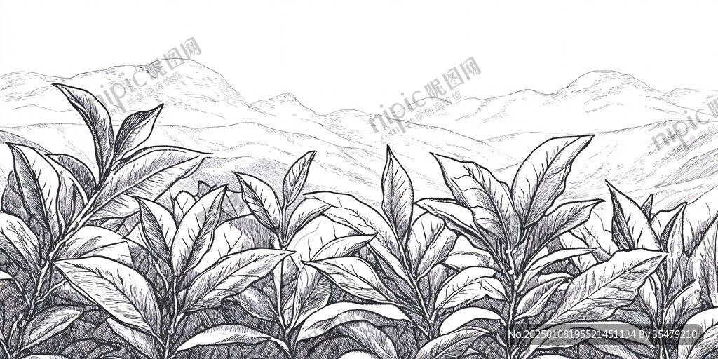 素描茶山